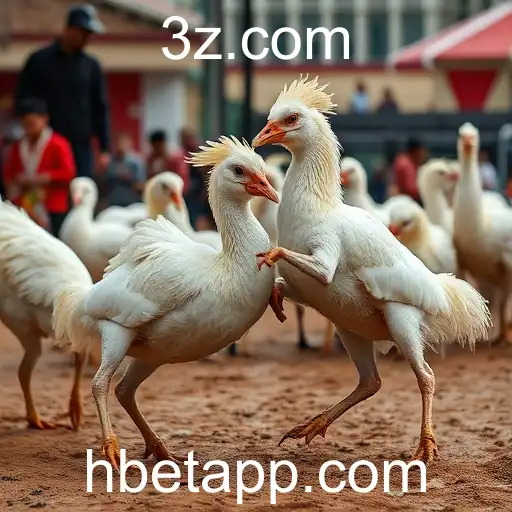 Gaming Experience hbet - 800+ Premium and Exclusive Games